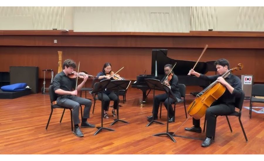 The Matz Cello Quartet in D Minor: A Historical and Musical Exploration